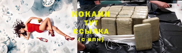 гашик Переславль-Залесский