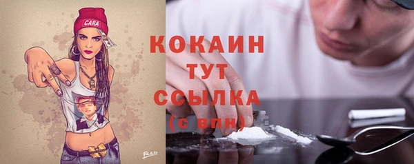 гашик Переславль-Залесский