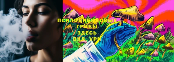 соль ск Остров