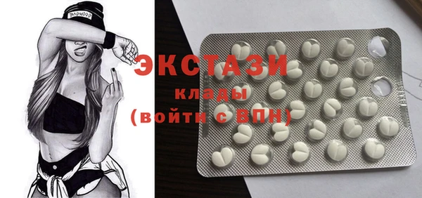 дмт Пересвет