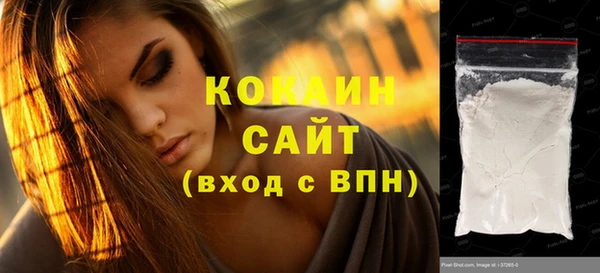 гашик Переславль-Залесский