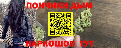 крисы Абакан