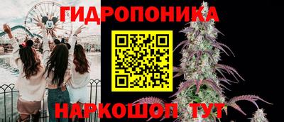 спиды Аргун