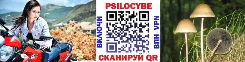 Псилоцибиновые грибы ЛСД  Балахна 
