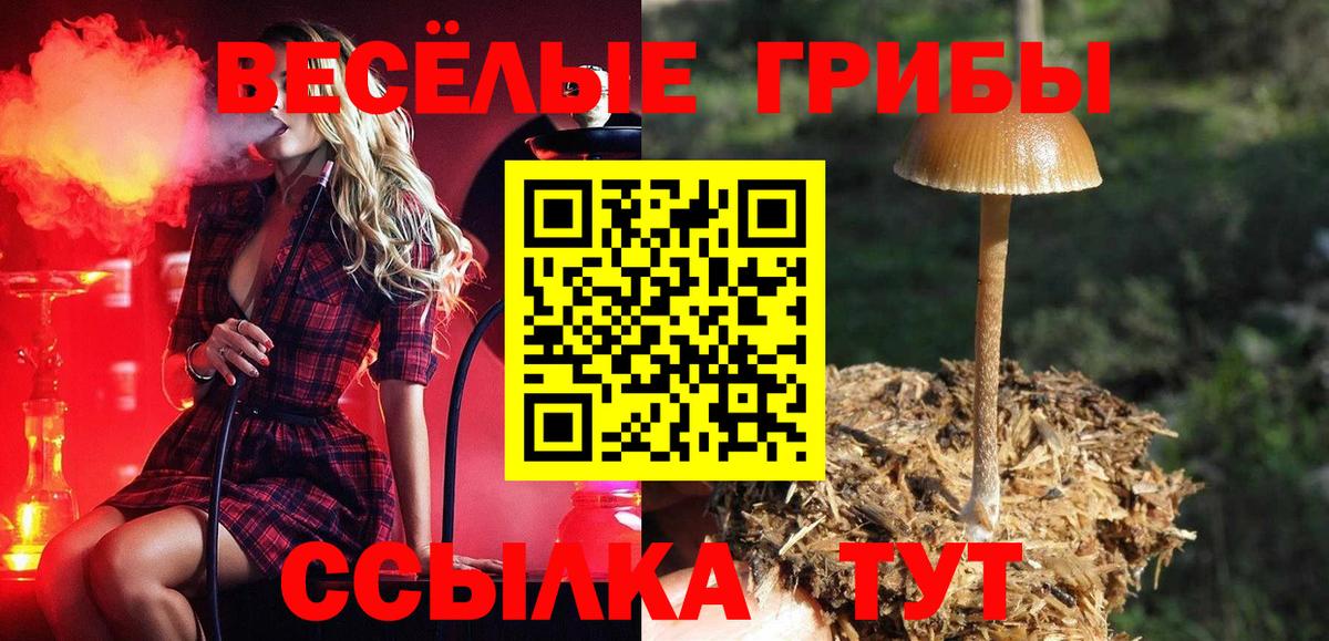Псилоцибиновые грибы Magic Shrooms Балахна