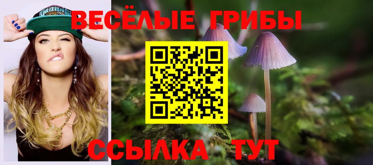 Галлюциногенные грибы GOLDEN TEACHER  Вход с VPN  закладка  Галлюциногенные грибы мухоморы  Балахна 